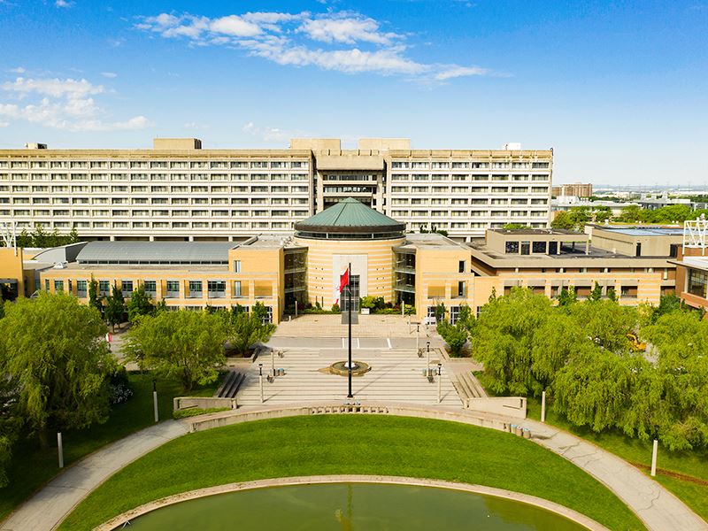 約克大學